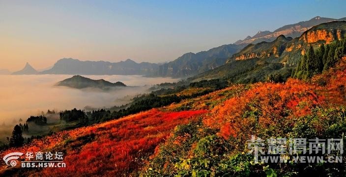 ���������˻������ˡ�11��12/19/26���������������� �������ڣ�