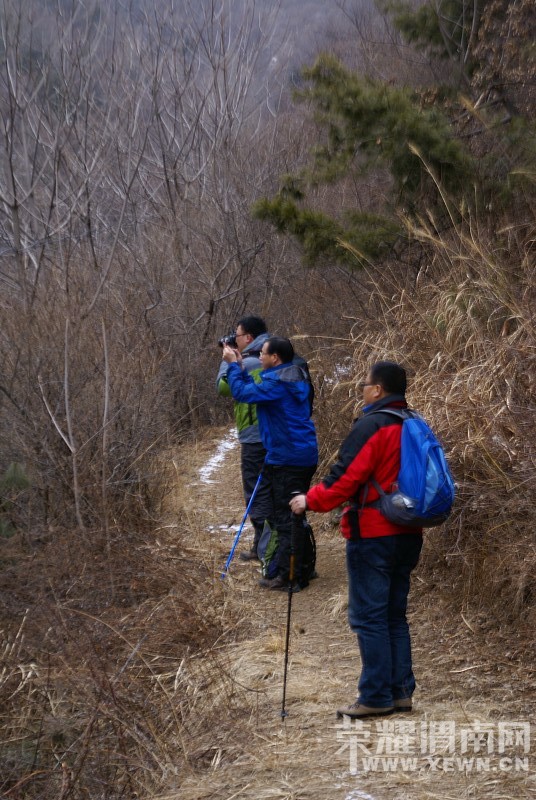 ��һ������11��14/15�գ����������� ���ӡ������ϱ���Խ