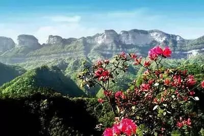 �������������˷ŷ�����μ��վ��11��19��-22�ա�26��-29�ա�12��3��-6�ա�10��-13....