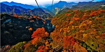 μ�ϡ�����ͬ�л��⡿������ɽ����Ůɽ����ӵط��ػ�������