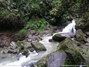 μ�ϡ�����ͬ�л��⡿������ɽ����Ůɽ����ӵط��ػ�������