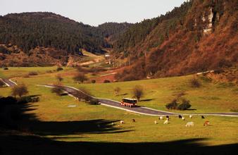 μ�ϡ�����ͬ�л��⡿������ɽ����Ůɽ����ӵط��ػ�������