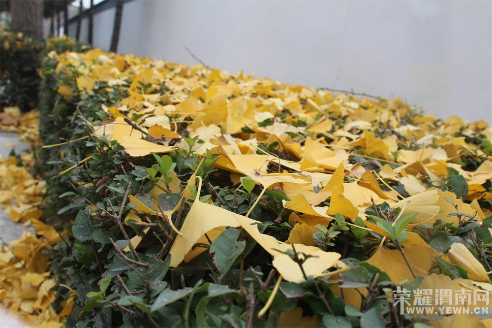 �������ǵ��۾����Բ���ȱ����,����ȱ�ٷ���,�������ߵķ羰.