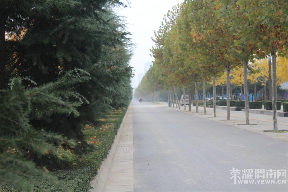 ������μ�ϵĹ���������������