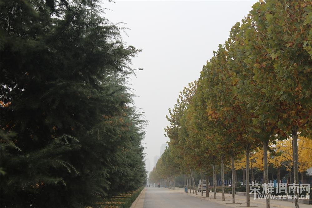 ������μ�ϵĹ���������������