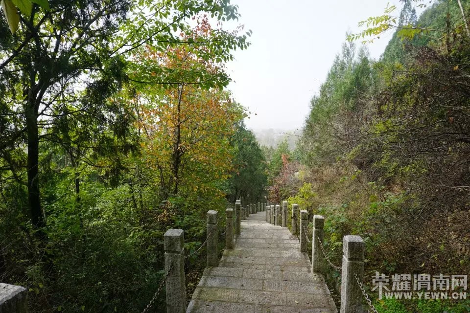 μ�ϡ�����ͬ�л��⡿11��21�����ߺ��·��������+����ʾ�һ����