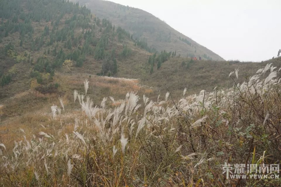 μ�ϡ�����ͬ�л��⡿11��21�����ߺ��·��������+����ʾ�һ����