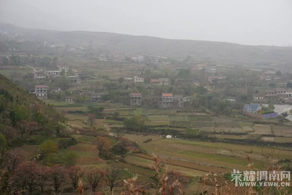 μ�ϡ�����ͬ�л��⡿11��21�����ߺ��·��������+����ʾ�һ����