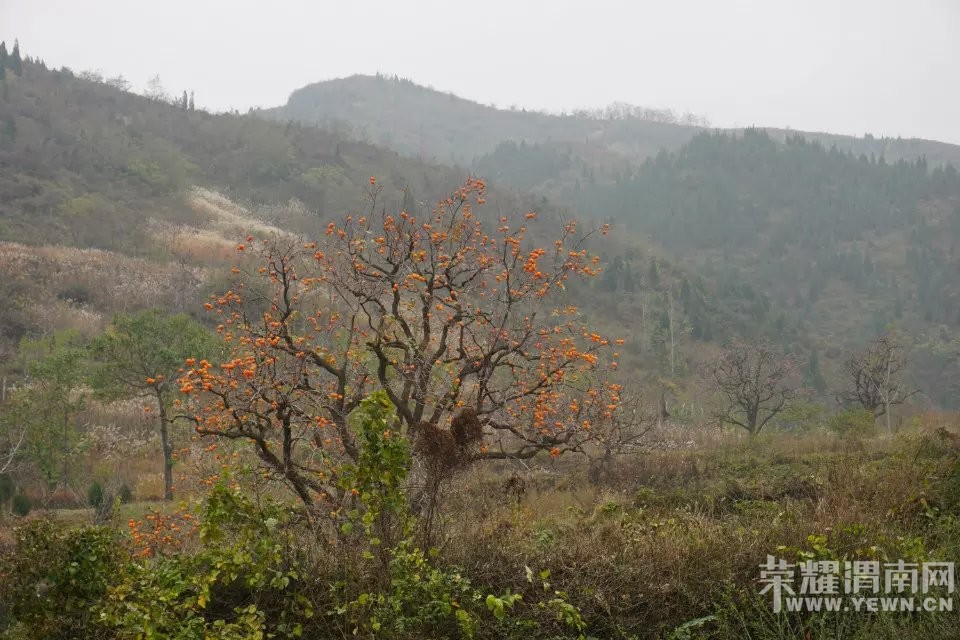 μ�ϡ�����ͬ�л��⡿11��21�����ߺ��·��������+����ʾ�һ����