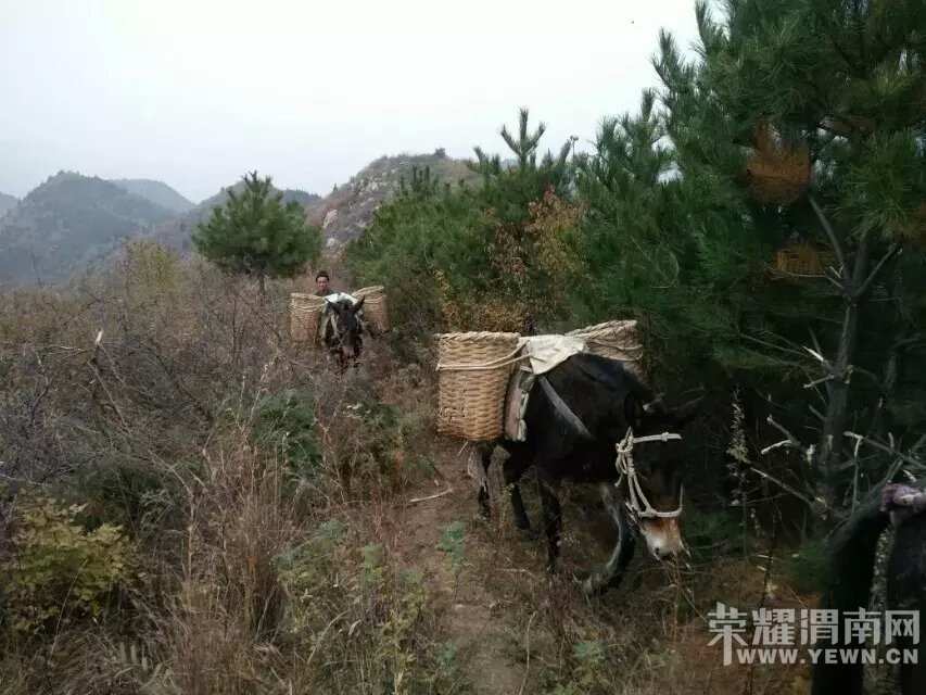 μ�ϡ�����ͬ�л��⡿11��21�����ߺ��·��������+����ʾ�һ����