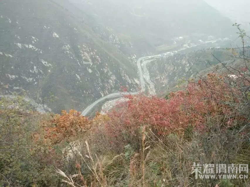 μ�ϡ�����ͬ�л��⡿11��21�����ߺ��·��������+����ʾ�һ����