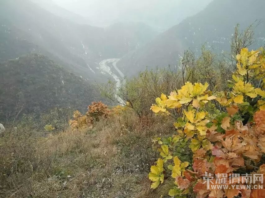 μ�ϡ�����ͬ�л��⡿11��21�����ߺ��·��������+����ʾ�һ����