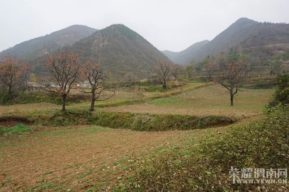 μ�ϡ�����ͬ�л��⡿11��21�����ߺ��·��������+����ʾ�һ����