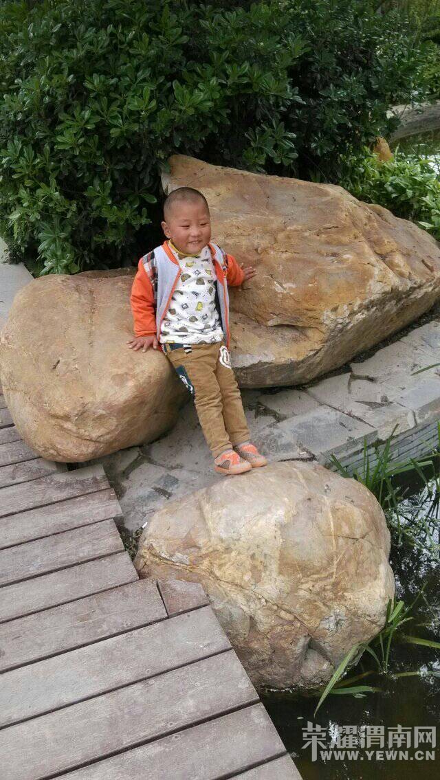 403���������Ұ���ͶƱ����