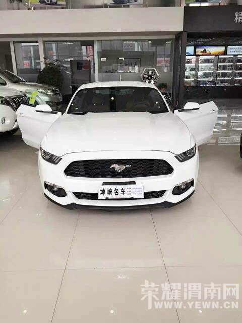 173828tctb16v3693b3c3z.jpg