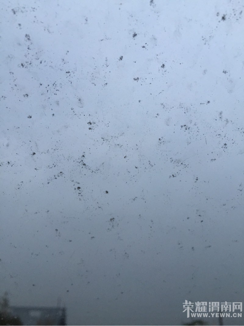 �쿴����������ɶ��·������ȫ�ǰ�ɫ����~