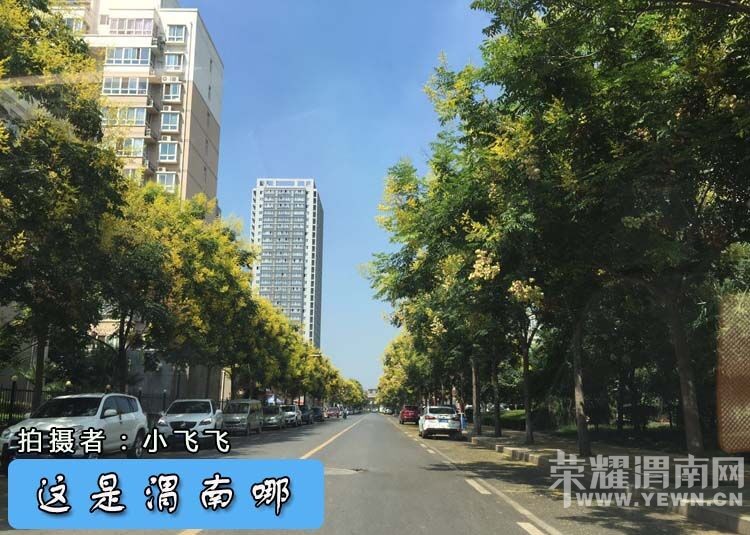 ������μ����-201�ڡ�׼������ĩ���𣿺١����𼱣��Ȳ²�����μ���ģ�