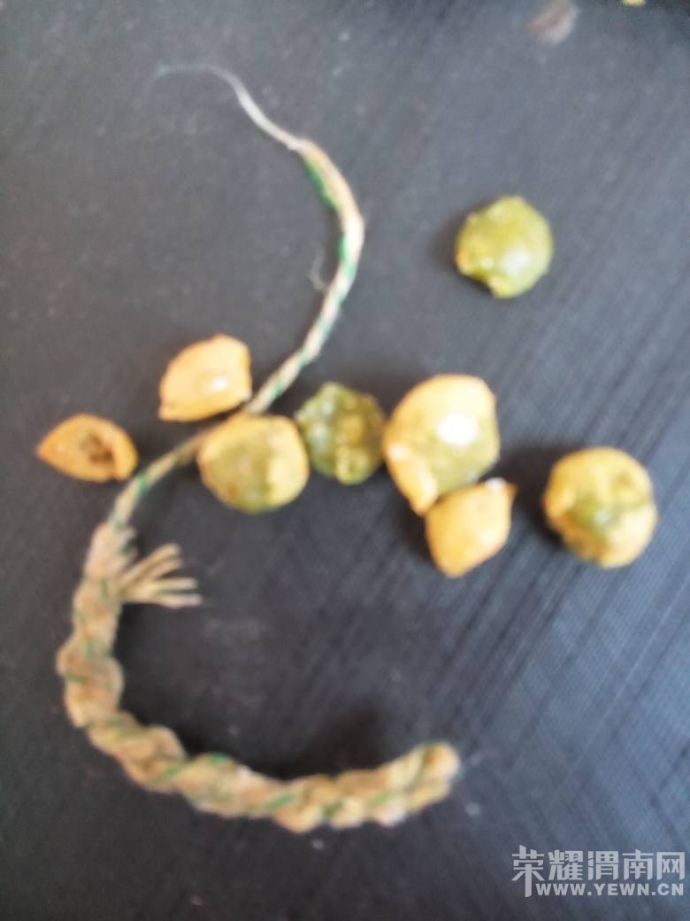 �������̵��������ʳƷ�����ඹ��Ȼ�Գ�һ�����ӣ��ö��İ���