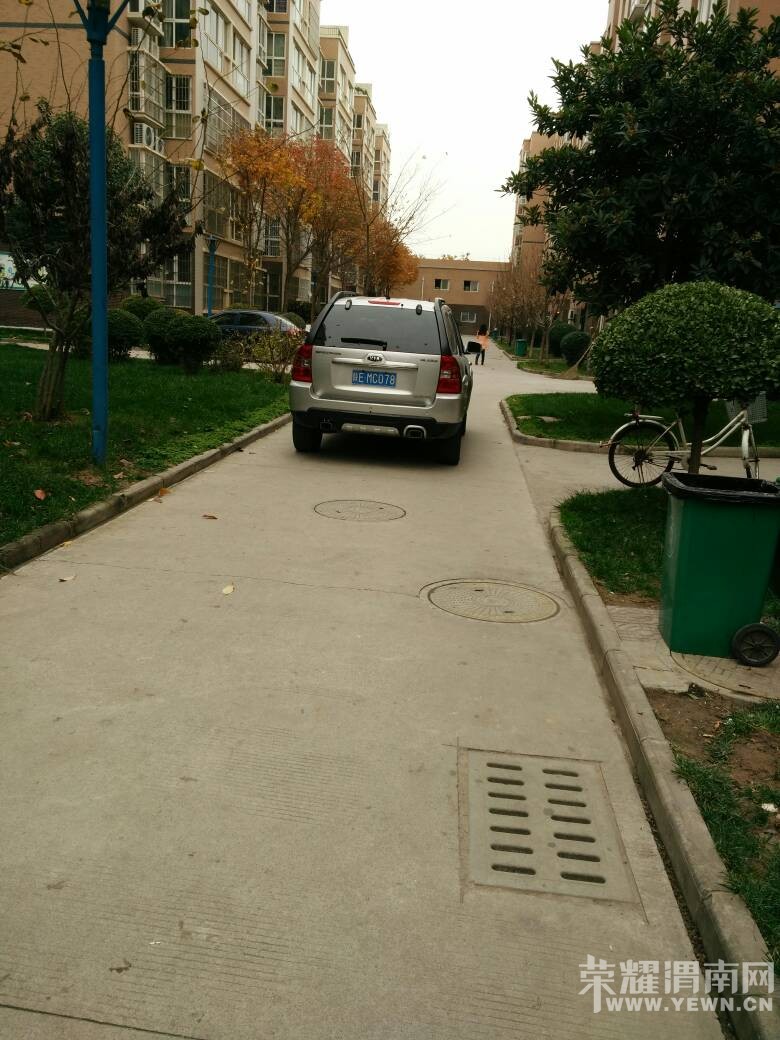 ɶҲ�����˵�ˣ���������μ�ϵ���Щ��ţ�Ƶ�˾����