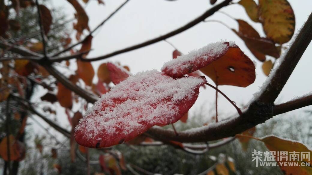 һҹ��ѩ���������ͷ���������ͳ�ѩ������~