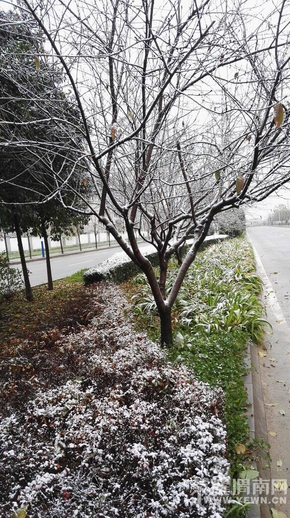 һҹ��ѩ���������ͷ���������ͳ�ѩ������~