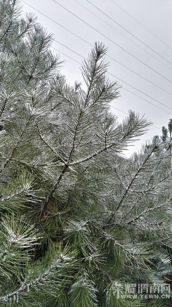 һҹ��ѩ���������ͷ���������ͳ�ѩ������~