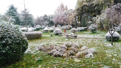 ���������ۡ�����������������ʲô��