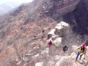 ����һ��������11��28��  ��ţ����Խ������