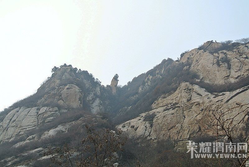 ����һ��������11��28��  ��ţ����Խ������