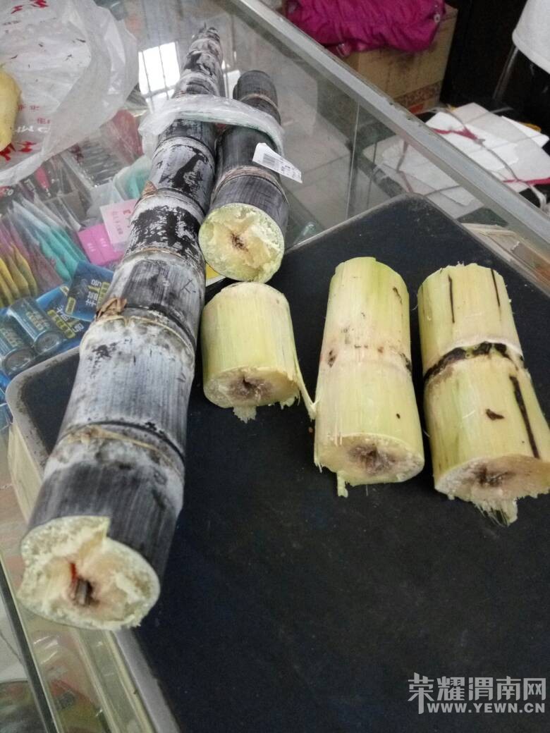 վ��·ʵ�ݱ������������ĸ��ᣬ��ҳ���