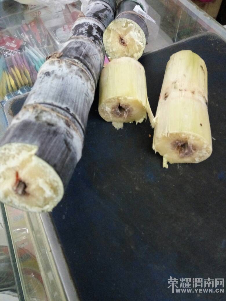 վ��·ʵ�ݱ������������ĸ��ᣬ��ҳ���