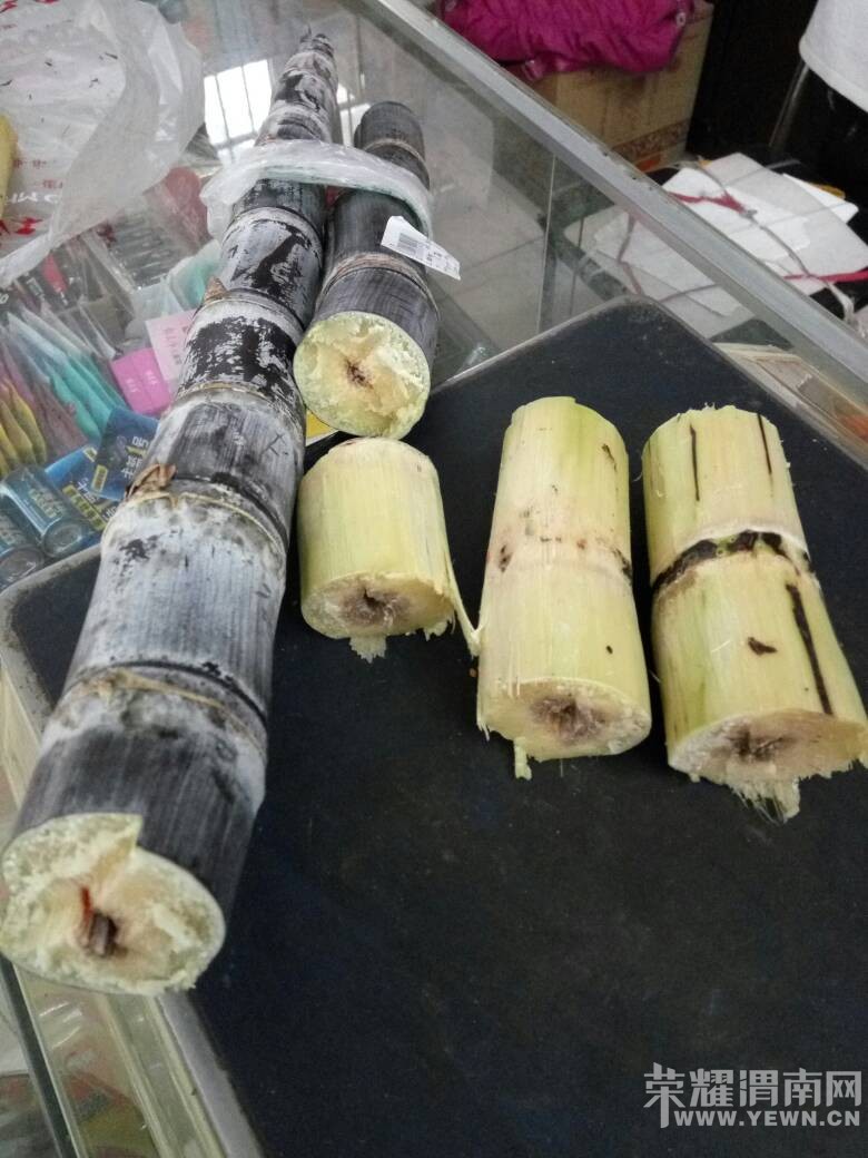 վ��·ʵ�ݱ������������ĸ��ᣬ��ҳ���