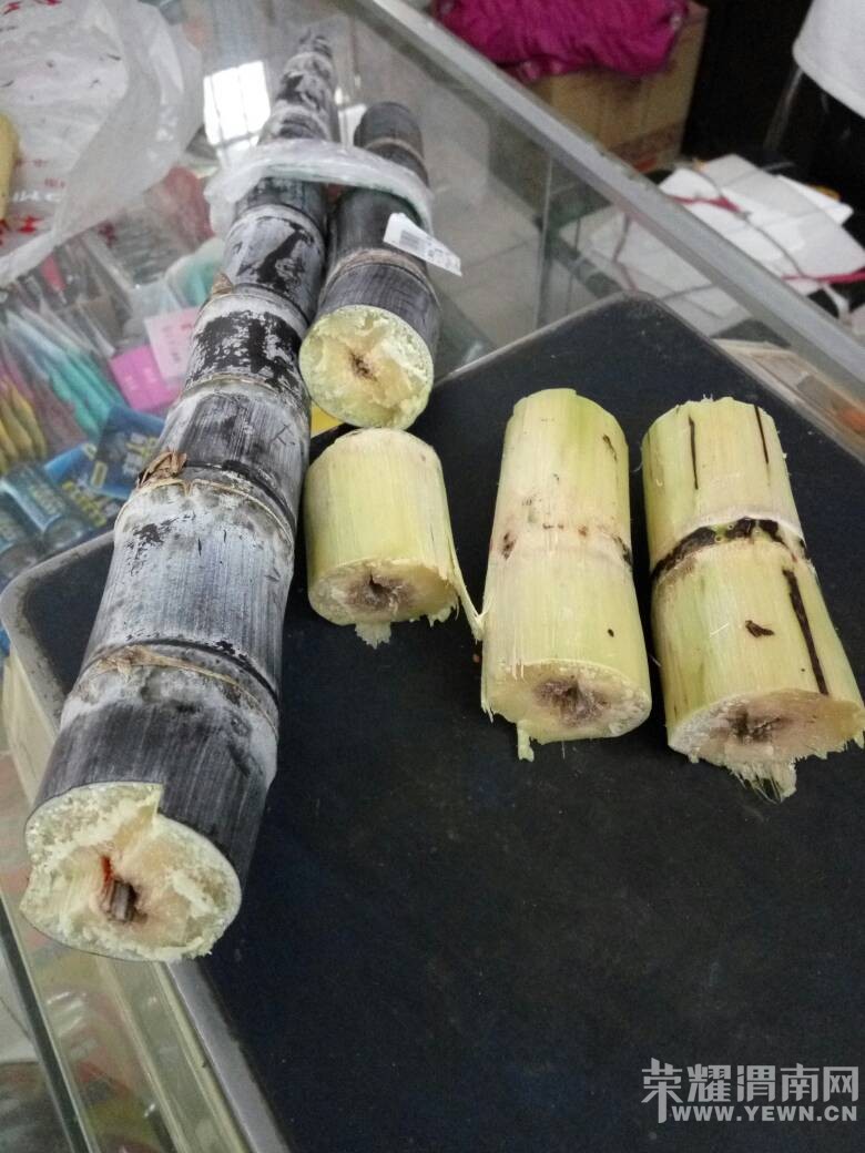 վ��·ʵ�ݱ������������ĸ��ᣬ��ҳ���