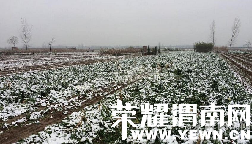 μ�ϻ��������ܲ����� 8��Ǯһ��û����