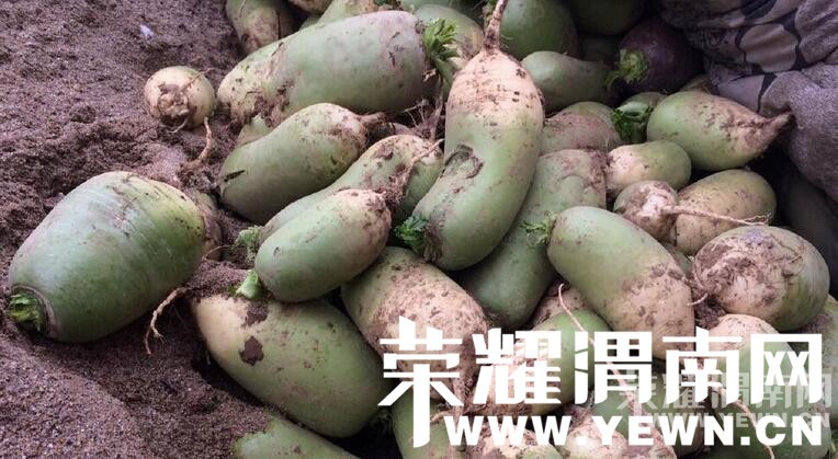 μ�ϻ��������ܲ����� 8��Ǯһ��û����