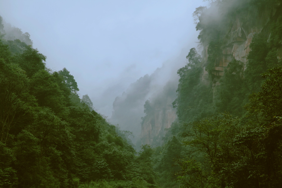 ��ˮ���ٲ�