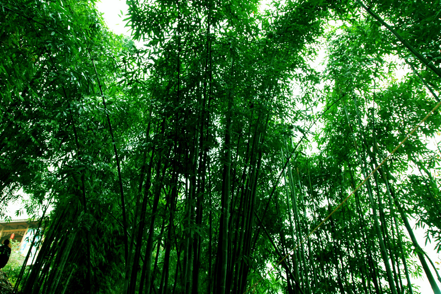 ��ˮ���ٲ�