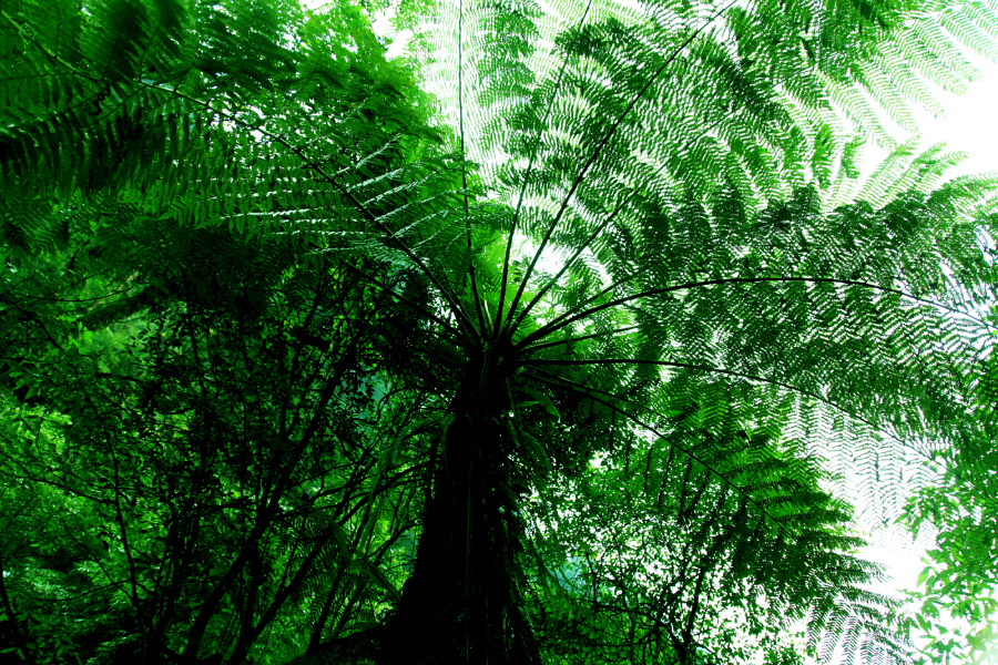 ��ˮ���ٲ�