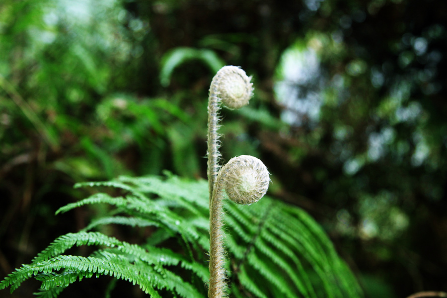 ��ˮ���ٲ�