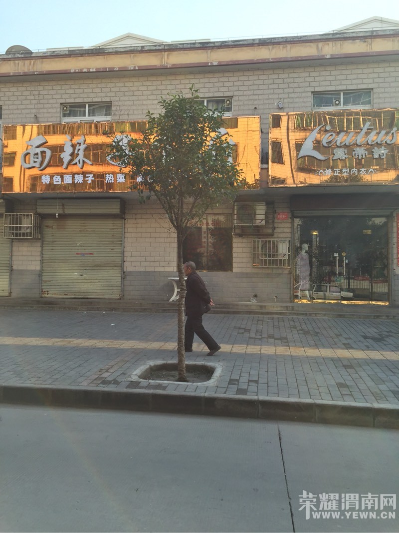 Ѱ���ڻ�԰С���м������·�ϵ����³��������۳�����ͼ����