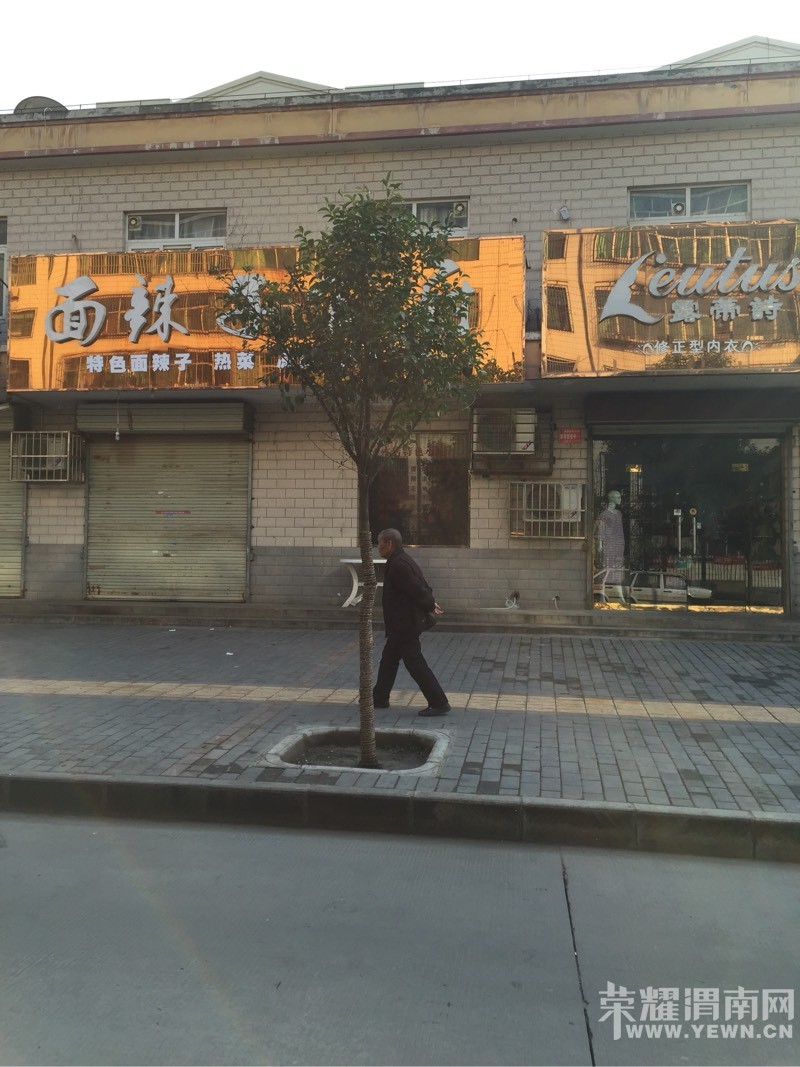 Ѱ���ڻ�԰С���м������·�ϵ����³��������۳�����ͼ����