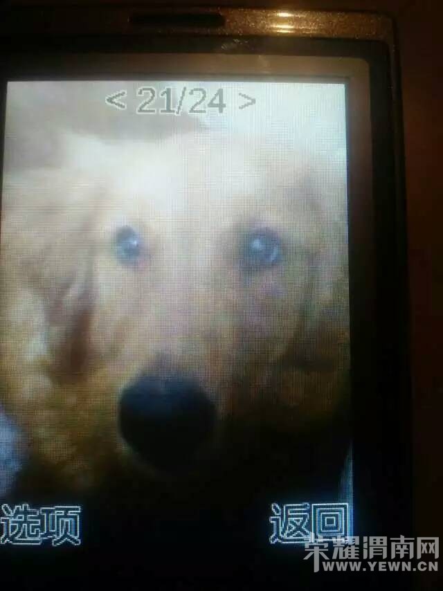 Ѱ�ˣ�Ѱ���ˣ����˼����ҼҵĽ�ë��������