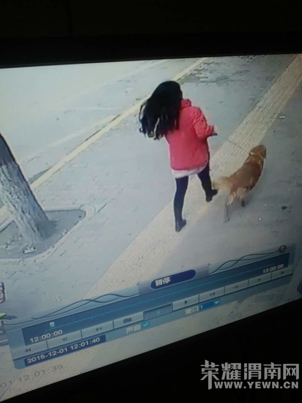 Ѱ�ˣ�Ѱ���ˣ����˼����ҼҵĽ�ë��������