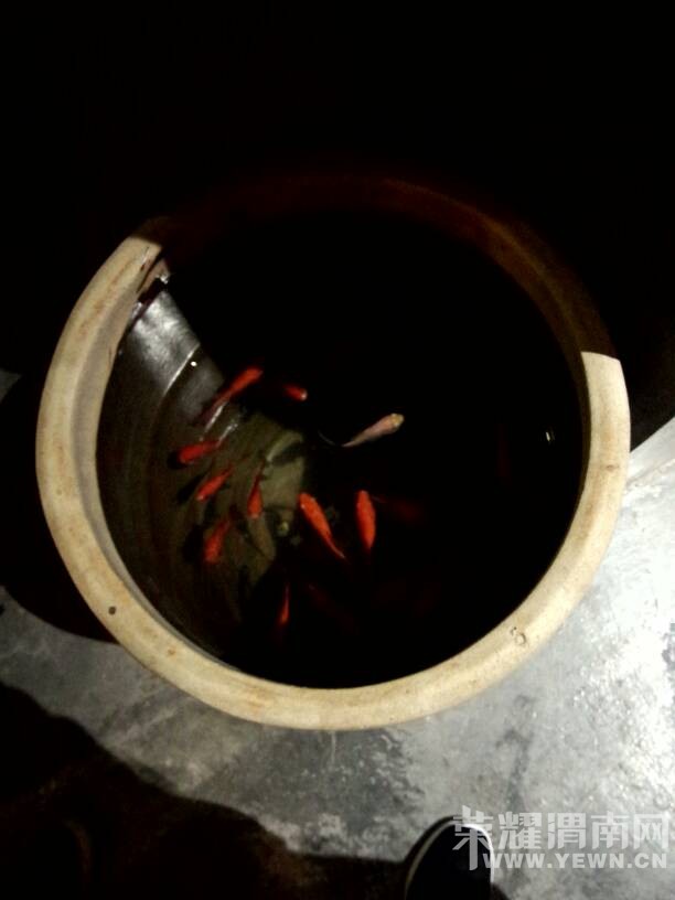  #����ҫ�Գ��š�15��#������з��#ҫ�۵�����# ������з��