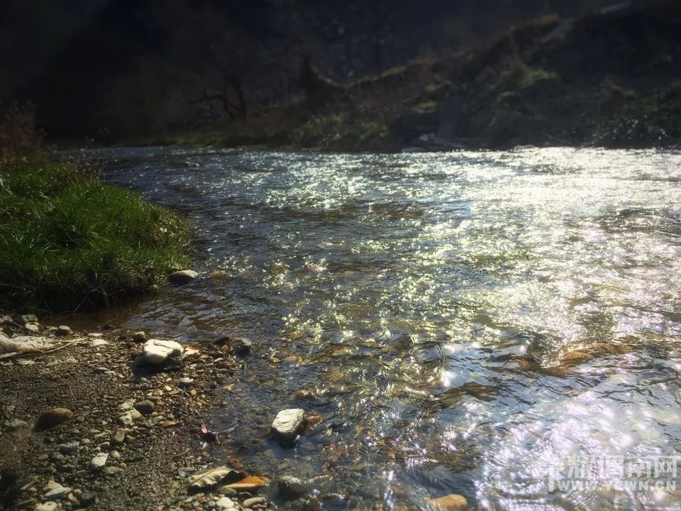 ����С��