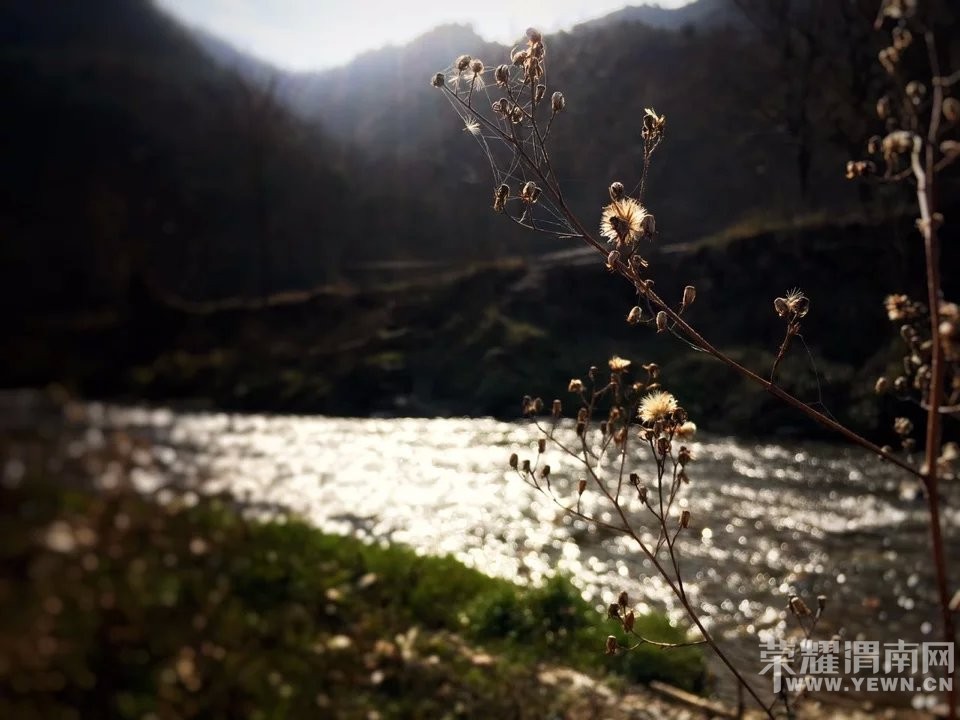 ����С��