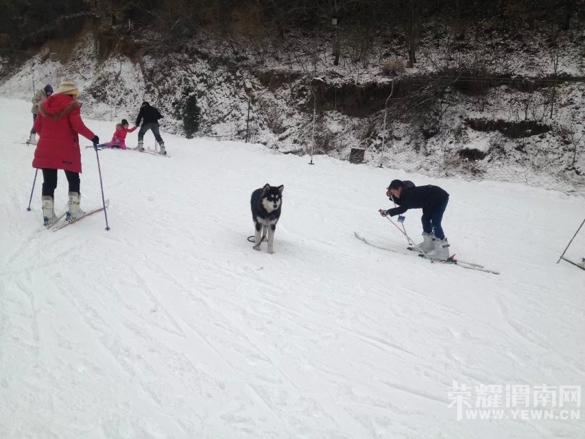 μ�ϡ�����ͬ�л��⡿12��12�ռ��黬ѩ+�ƺ�ʪ�������һ����