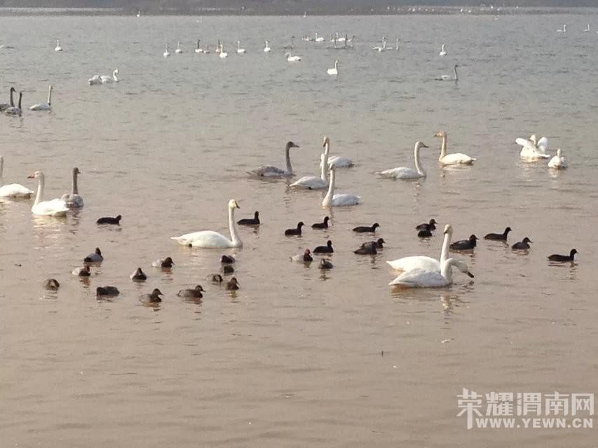 μ�ϡ�����ͬ�л��⡿12��12�ռ��黬ѩ+�ƺ�ʪ�������һ����