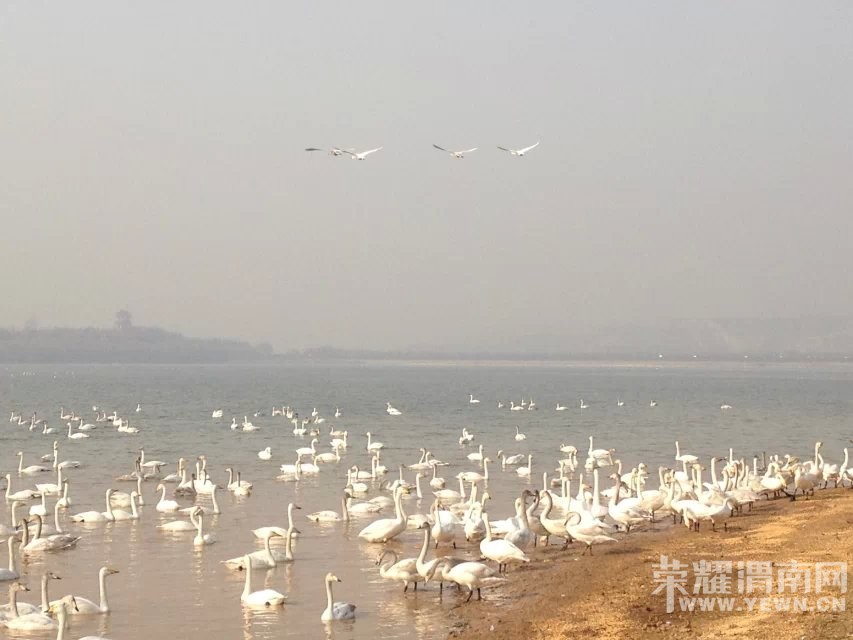 μ�ϡ�����ͬ�л��⡿12��12�ռ��黬ѩ+�ƺ�ʪ�������һ����