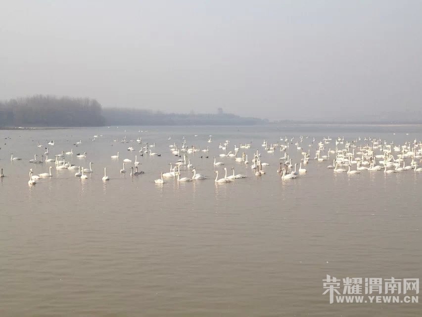 μ�ϡ�����ͬ�л��⡿12��12�ռ��黬ѩ+�ƺ�ʪ�������һ����